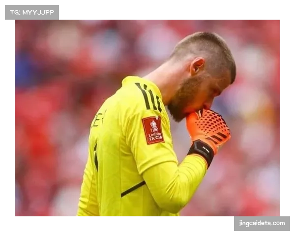 赫罗纳主帅米歇尔赛前强调：对阵皇马将继续贯彻高位压迫战术