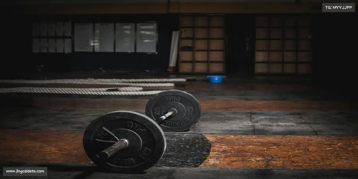 竞彩网官网——🤸‍♀️🌪 平衡木空翻，龙卷栖枝！